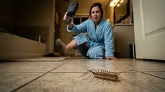 Zauważyłeś to w swojej łazience? 30 nóżek i jedna zaskakująca zaleta, o której nikt nie wspomina