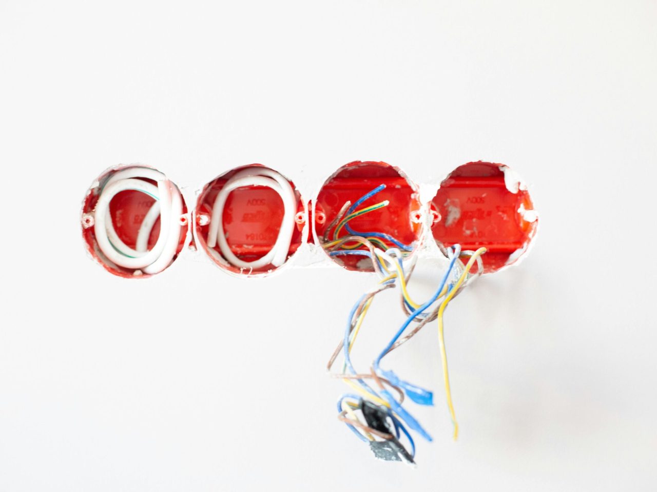 pexels-lamiko-3615735 (1)